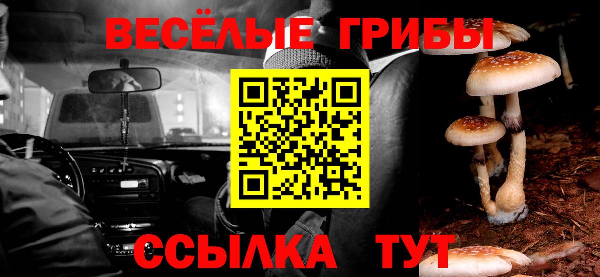 Галлюциногенные грибы MAGIC MUSHROOMS  Вход с VPN  Псилоцибиновые грибы Psilocybe  Гусев 